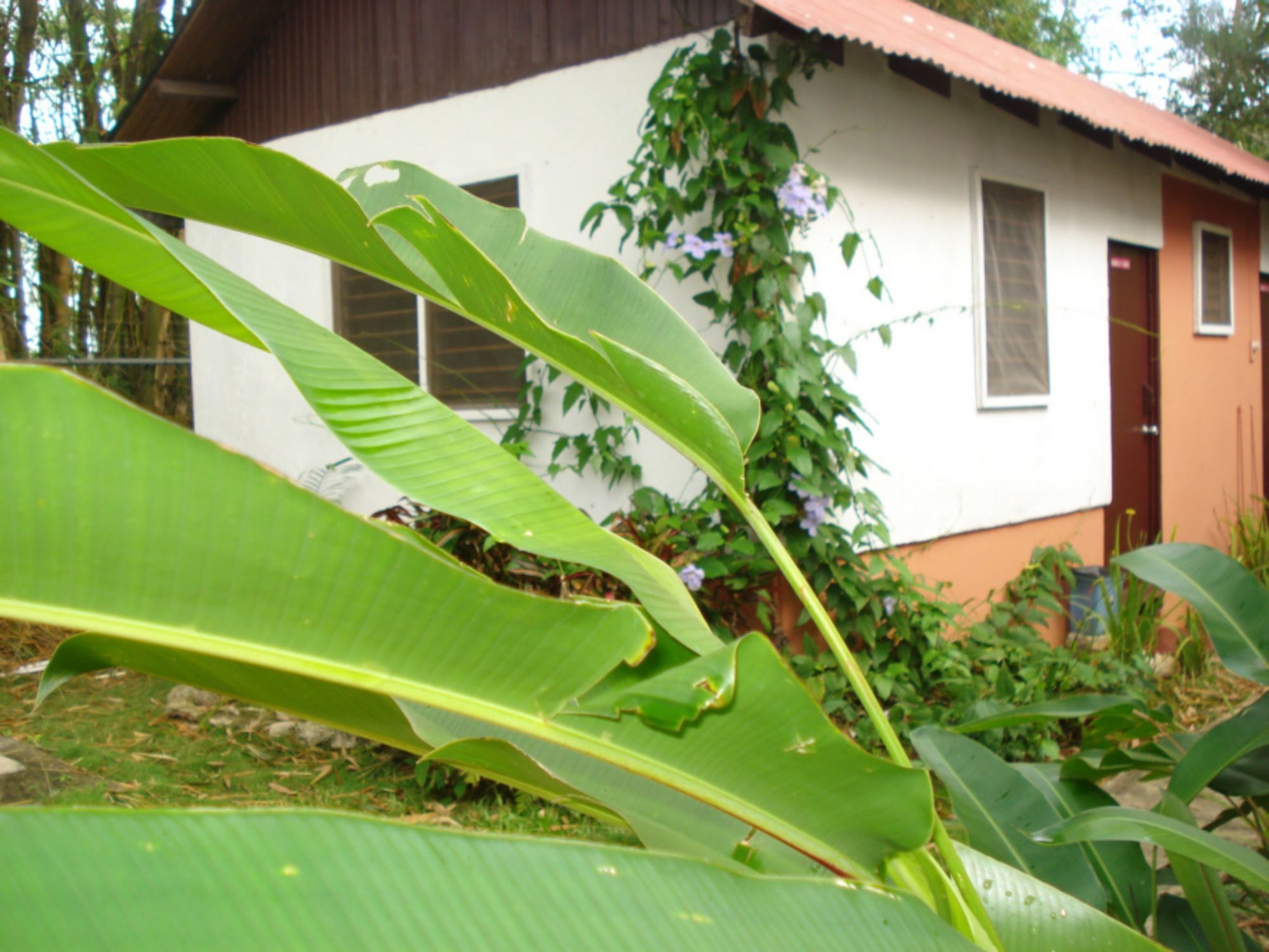 The Negril Yoga Centre Hotel Exterior photo